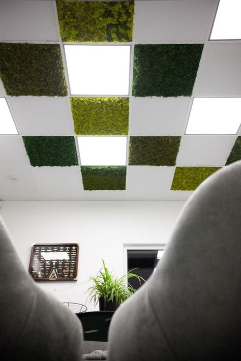 As the popularity of this tactile material continues to grow, we wanted to take the trend one step further and are delighted to announce that we now offer moss ceiling installation.

Find out everything you need to know about this innovative new product here: https://www.benholm.com/moss-ceilings-a-new-way-to-bring-nature-indoors/

#biophilicdesign #biophilia #moss #mosswall #mosswalls #interiordesign #interiordesigner #interiordesigners #officedesign #corporatedesign #officeinspiration Moss Ceiling Design, Moss Ceiling, Moss Walls, Bring Nature Indoors, Dropped Ceiling, Ceiling Installation, Moss Wall, Nature Indoors, Office Inspiration