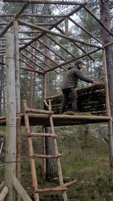 Bush Shelter Ideas, Camping Shelters Diy, Survival Shelters Bushcraft, Survival Shelter Long Term, Bushcraft Shelter Long Term, Bushcraft Cabin, Survival Shelter Ideas, Wilderness Shelter, Shelters In The Woods