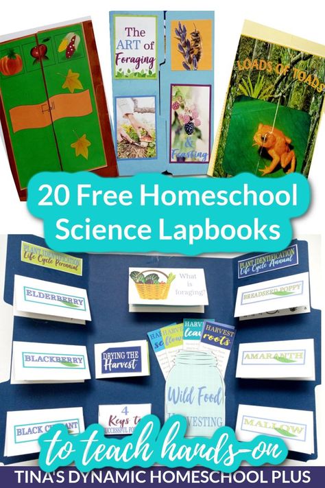 20 Free Homeschool Science Lapbooks to Teach Hands-on. I have 20 free homeschool science lapbooks to teach hands-on. Because homeschool lapbooks are perfect to pair with unit studies, most of the lapbooks include a unit study. So while concentrating on one science topic, a hands-on learner can complete minibooks on each subtopic. Most lapbooks will contain anywhere from 7 to 15 minibooks. Science lapbooks are no different. #freelapbooks #sciencelapbooks #homeschoolscience Bats Unit Study, Lapbooks Free, Science Lapbooks, Homeschool Crafts, Science Topics, Homeschool Classroom, Unit Studies, Homeschool Planner, Free Homeschool