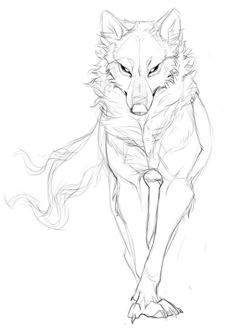 Another wolf sketch! It’s been a while, hasn’t it? Animal Drawing Inspiration, Drawing Dogs, Wolf Sketch, Couple Drawing, Výtvarné Reference, Animal Reference, Desen Anime, Wolf Drawing, Cutest Animals