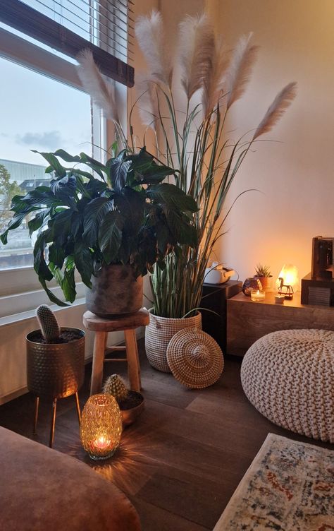 Plants and candles really gives your house the cozy boost it needs Plants And Candles Aesthetic, Plants And Candles, Frans Hals, Apartment Plants, Living Room Plants, Apartment Cleaning, Candle Aesthetic, Bedroom Plants, Apartment Aesthetic