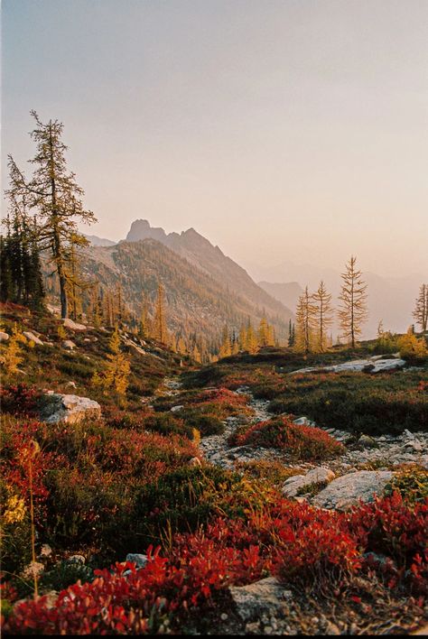 Cascade National Park, North Cascades National Park, Pretty Landscapes, North Cascades, Autumn Days, Autumn Vibes, Rocky Mountain National Park, Alam Yang Indah, Nature Aesthetic