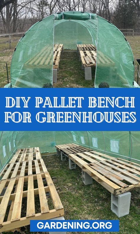 Affordable Greenhouse, Diy Greenhouse Shelves, Greenhouse Tables, Greenhouse Addition, Pallet Greenhouse, Backyard Planning, Spirit Walker, Diy Greenhouses, Greenhouse Shelves