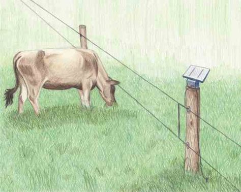 Electric Fence For Cattle, High Tensile Fence, Sheep Fence, Livestock Fence, Electric Fencing, Grounding Rod, Farm Fence, Wire Fence, Electric Fence