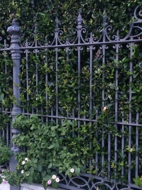 Wrought Iron Pedestrian Gates, Victorian Fences And Gates, Victorian Fence, Moodboard Architecture, Deltarune Aesthetic, Fancy Fence, Red Lilies, Fence Metal, Metal Fencing