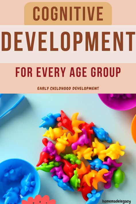 Learn about how your child's brain works and how to help them develop their cognitive skills with these age-appropriate activities. #cognitiveactivities Developmental Skills By Age, Cognitive Development Activities Infants, Cognitive Toddler Activities, Activities For Cognitive Development, Diy Developmental Activities, Cognitive Development For Infants, Age Appropriate Activities For Toddlers, Cognitive Learning Activities, Cognition Activities For Preschoolers