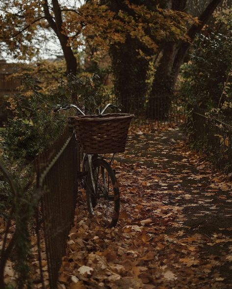 Moody Fall Aesthetic, Polly Florence, Autumn Academia, Pretty Backrounds, Moody Autumn, Hey Pumpkin, Fall Mood Board, Pumpkin Spice Season, Autumn Scenery