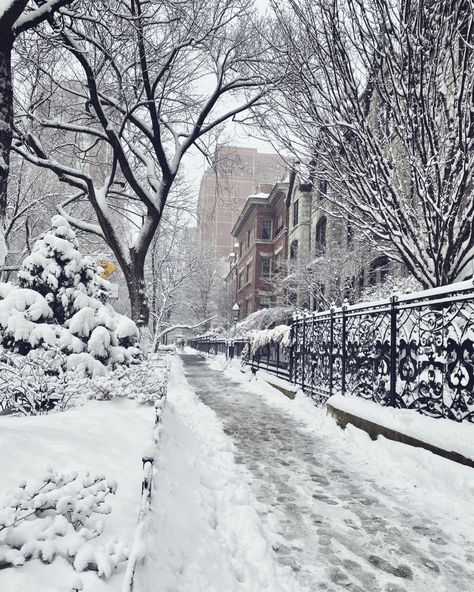 Chicago’s Gold Coast under a blanket of snow ❄️ #chicago #goldcoast #downtown Winter Athstetic, Gold Coast Chicago, Chicago Winter Aesthetic, Romanticize Winter, Snow In Chicago, Chicago El Train, Snowy Chicago, Chicago In Winter, Christmas Chicago