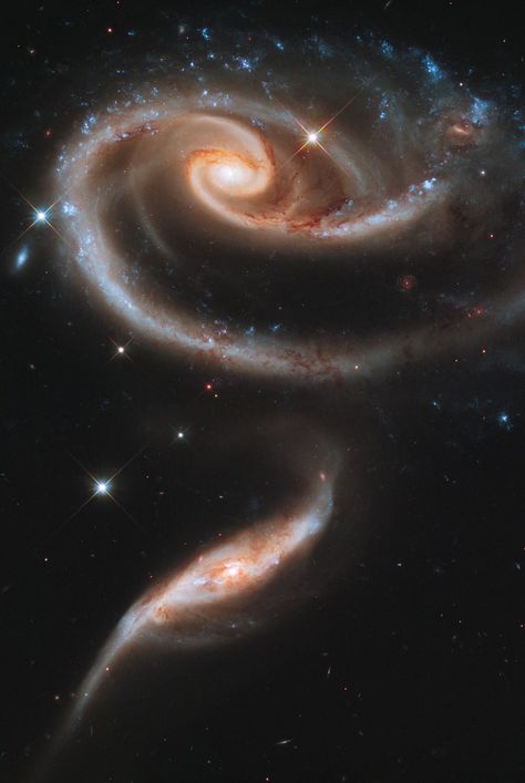 Hubble Space Telescope Images, Universe Images, Hubble Images, Spiral Galaxy, Andromeda Galaxy, Black Holes, Space Photos, Hubble Space, Space Images