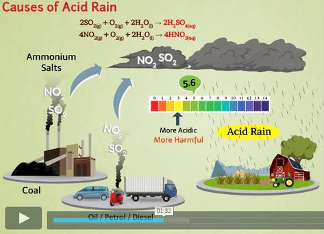 Chemistry | General Science | CBSE | All Boards Class 11 Chemistry, Chemistry Textbook, Environmental Chemistry, 11th Chemistry, Chemistry Education, General Science, Acid Rain, Basic Grammar, Course Syllabus