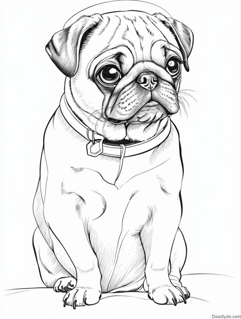 Pug Color Page Check more at https://doodlydo.com/pug-color-page/ Pug Drawing Sketches, Black Pug Drawing, Pug Drawing Easy, Cute Pug Drawing, Pugs Drawing, Pug Coloring Page, Pug Sketch, Burning Pictures, Pug Drawing