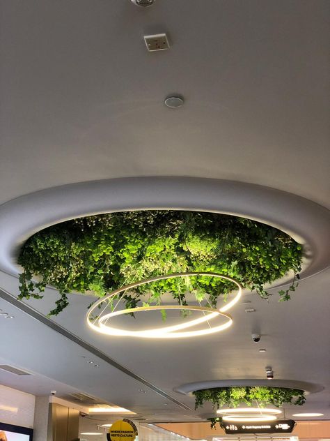 Plant Ceiling Decor, Ceiling Plants, Ceiling Garden, Plant Ceiling, Green Ceiling, Tree Interior, Lounge Party, Interior Design Presentation, Architecture Model House