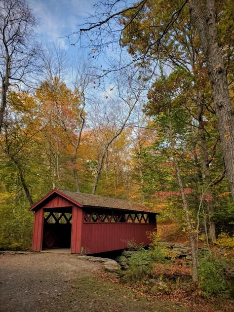 Chatfield Hollow State Park Connecticut,  Fall 2021 Conneticut Homes, Rural Connecticut, Connecticut Aesthetic, Connecticut Fall, Fall In Connecticut, American Aesthetic, Stamford Connecticut, Paid Leave, Stars Hollow