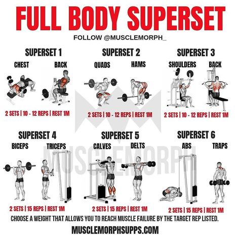 Full Body Superset @musclemorph_... Superset Workout Plan, Full Body Db Circuit, Back Workout Superset, Total Body Superset Workout, Full Body Superset Workout Weights, Full Body Weightlifting Workout, Super Set Workouts Full Body Gym, Supersets For Women, Full Body Weight Lifting Workout