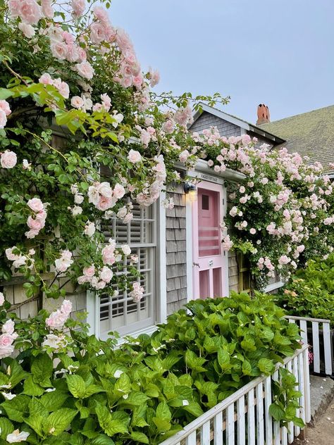 Nantucket Coastal Style, Nantucket Garden Design, Nantucket Shops, Nantucket Summer Aesthetic, Nantucket Style Homes Exterior, Nantucket Flowers, Nantucket Exterior, Nantucket Photography, Nantucket Garden