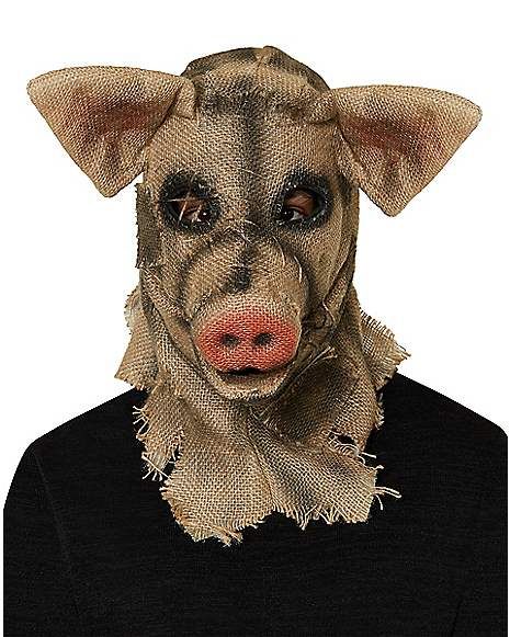 Scary Pig Mask, Scarecrow Mask, Pig Mask, Pig Costumes, Creepy Costumes, Weird Photography, Mascaras Halloween, Horror Costume, Hybrid Art