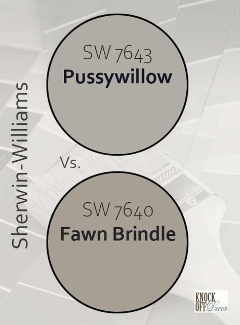 pussywillow-vs-fawn-brindle Sw Tradewind, Sw Rainwashed, Sherwin Williams Silvermist, Benjamin Moore Beach Glass, Rainwashed Sherwin Williams, Sleepy Blue, Palladian Blue, Sherwin Williams Gray, Blue Green Paints