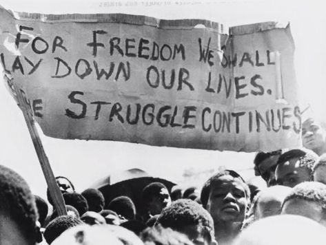 Soweto forty years on: The Black student rebellion of 1976 Youth Day South Africa, Soweto Uprising, Pan Africanism, Student Protest, Youth Day, Nelson Mandela, African History, Martin Luther, Martin Luther King