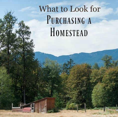 What to Look For When Purchasing a Homestead – Melissa K. Norris Pioneering Today Melissa K Norris, Melissa K Norris, Homestead Property, Teach Family, Raising Pigs, Moving To Another State, Homesteading Ideas, Farm Plans, Gardening Zones