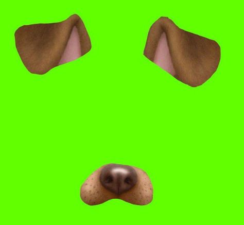 Snapchat Dog Filter, Gacha Editing, Pfp Frame, Gacha Accessories, Greenscreen Ideas, Free Green Screen Backgrounds, Hijau Neon, Amazing Gumball, Dibujo Simple