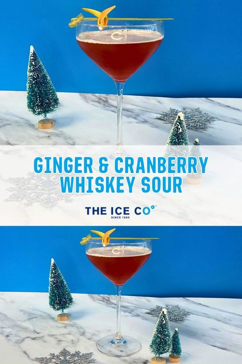 ginger cranberry whiskey sour recipe Cranberry Whiskey Sour, Whiskey Sour Recipe, Ginger Syrup, Festive Cocktails, Whiskey Sour, Whiskey Cocktails, Cranberry Juice, Christmas Drinks, The Ice