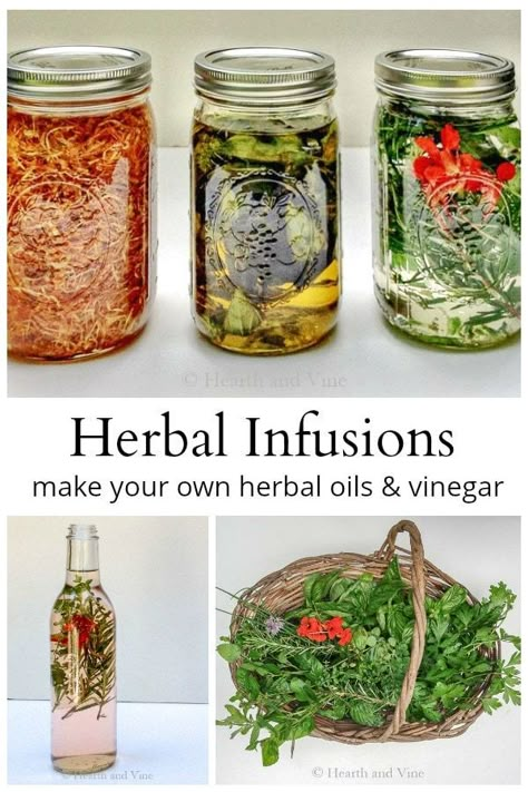 Learn how to make herbal infusions by combining oils and vinegar with herbs from your backyards. Use them in cooking, cosmetics, and more. #garden #herbs #herbal #infusion #recipe #cooking Mullien Leaf Oil Diy, Herbs Quotes, Herb Crafts, Infused Oil Recipes, Infused Recipes, Herbal Vinegar, Fruit Carvings, Infused Vinegars, Herbal Garden