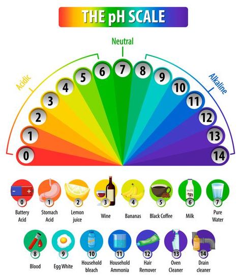 How To Learn Chemistry, Ph Chart, Ph Scale, Science Chart, Education Cartoon, Biology Revision, Montessori Science, Teaching Math Strategies, Acid Base Balance