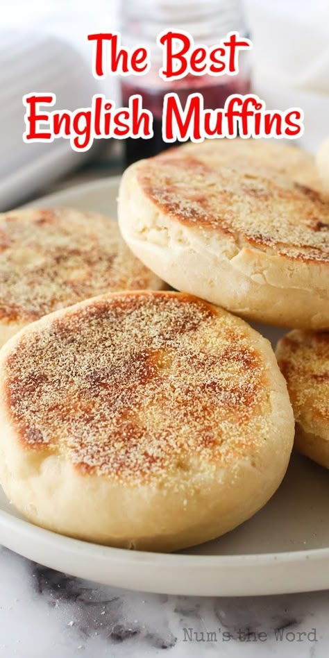 Lobster Biscuits, Red Lobster Biscuits, English Muffin Bread, English Muffin Recipes, Homemade English Muffins, Pita Pockets, Homemade Bread Recipes Easy, Best Bread Recipe, English Muffins