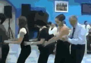 How to make a conga line awkward...oh ky good god, what is he doing XD Awkward Gif, Black Love Couples, You Funny, Animal Memes, Animal Gifs, Best Dogs, I Laughed, Funny Gif, Funny Pictures