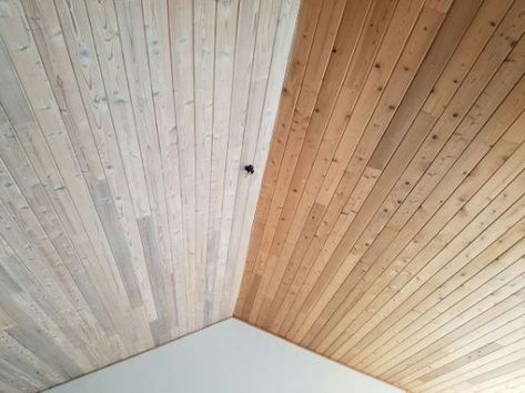 White Wash Ceiling, Knotty Pine Ceiling, Painted Wood Ceiling, Knotty Pine Walls, White Washed Pine, White Wash Walls, Wood Plank Ceiling, Tongue And Groove Ceiling, Plank Ceiling