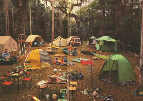 Camp put in the middle of a forest with friends Auto Camping, Camping Aesthetic, Vintage Camping, Camping Ideas, Camping Life, Family Camping, Station Wagon, Go Camping, Happy Campers