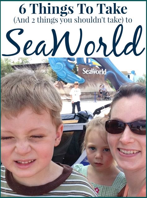 things to take to seaworl Santos, Seaworld Outfit Summer, Sea World Packing List, Seaworld Outfit Ideas Summer, Sea World Outfit Ideas, Seaworld Outfit Ideas, Sea World Outfit, Seaworld Outfit, Inexpensive Wedding Centerpieces