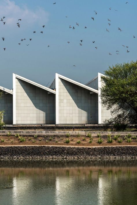 Fanned and sawtooth roofs top Sanand Factory in India by Studio Saar Sawtooth Roof, Coffee Factory, Circular Buildings, Factory Architecture, Modern Factory, India Architecture, Roof Architecture, Industrial Architecture, Clerestory Windows