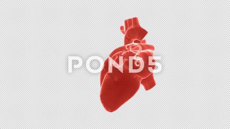 Beating human heart wireframe rotating with Alpha Channel seamless loop Stock Footage #AD ,#wireframe#rotating#heart#Beating Human Heart, Wireframe, Alpha Channel, Presentation Design, Stock Video, Stock Footage, Presentation, Human, Design