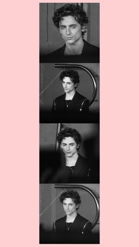 Timothee Chalamet Bookmark, Polaroid Bookmark, Tim Tam, Bookmark Printing, Photobooth Pictures, Book Annotation, Diy Bookmarks, Cool Wallpapers Cartoon, Money Aesthetic