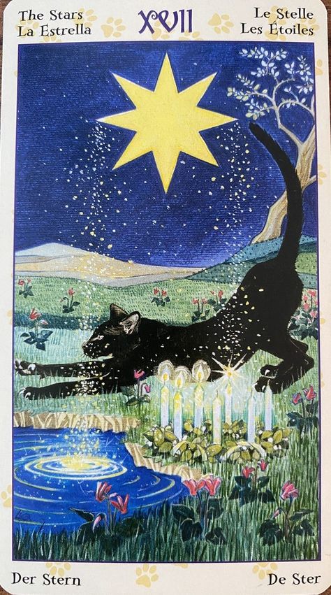 I Like To Pretend I Already Died And Asked God To Send Me Back To Earth, The Star Tarot Card Wallpaper, Tarot Of Pagan Cats, The Star Tarot Wallpaper, Painted Tarot Cards, Tarot Lockscreen, Tarot Art Aesthetic, Pagan Poster, The Stars Tarot Card