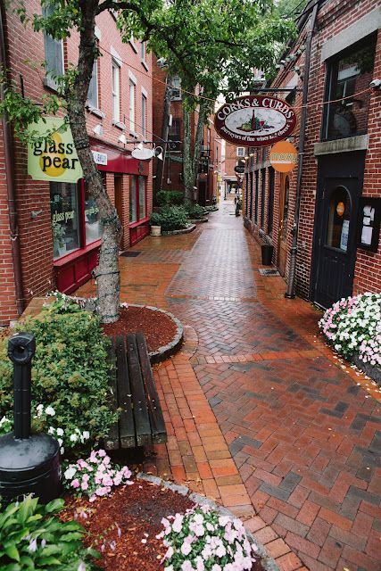 Best Christmas Destinations, Christmas Hand Painted, Portsmouth New Hampshire, Christmas Destinations, New England Road Trip, East Coast Travel, Fall Road Trip, East Coast Road Trip, Best Travel Destinations