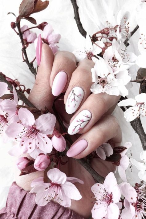 Cherry blossoms are another iconic bloom in Spring. These gorgeous pink gradient nails with cherry blossom accents capture the beauty of the Sakura tree so beautifully. Cherry Blossom Nails Design, Nail Art Fleur, Cherry Blossom Nails Art, Cherry Nail Art, Cherry Blossom Nails, Pink Chrome Nails, Chrome Nails Designs, Tree Nails, Cherry Nails