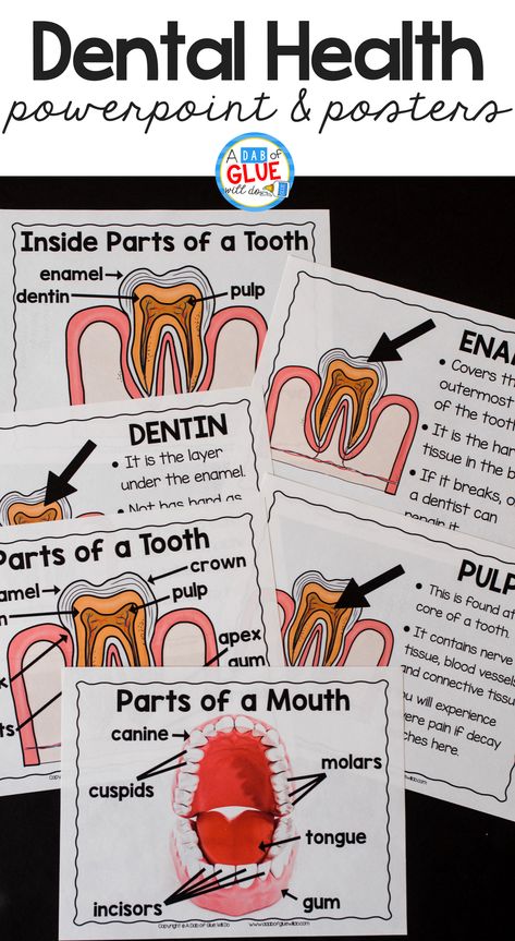 Engage your class in an exciting hands-on experience learning all about teeth! This dental health science unit is perfect for science in Preschool, Pre-K, Kindergarten, First Grade, and Second Grade classrooms and packed full of inviting science activities. Teeth Lesson Plans Preschool, Preschool Teeth Activities, Dental Week Preschool Activities, Health Science Classroom, Tooth Preschool, Health Preschool, Dental Health Unit, Dental Health Week, Dental Health Preschool