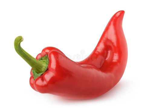 Photo about Isolated bell pepper. One curved red capsicum pepper isolated on white background with clipping path. Image of object, paprica, closeup - 72271590 Object Reference Photos, Red Objects, Pepper Photography, Object Painting, Object Reference, Sea Creatures Art, Vegetable Pictures, Still Life Pictures, Reference Photos For Artists