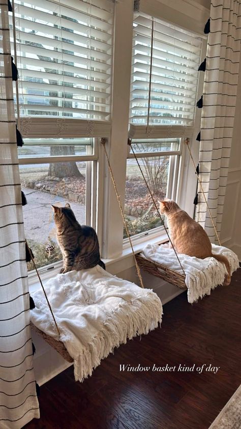 Pair of Two Cat Bed Wicker Window Baskets Window Seat For Cats, Cat Setup In Bedroom, Window Cat Bed, Wicker Cat Bed, Window Baskets, Bed Window, College House Decor, College House, Cat Ideas