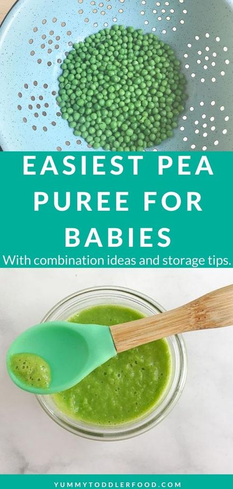 Pea Puree Baby Food, Pea Baby Food, Freezing Baby Food, Pea Puree, Baby Food Combinations, Making Baby Food, Easy Baby Food Recipes, Baby Food Storage, Baby Puree Recipes