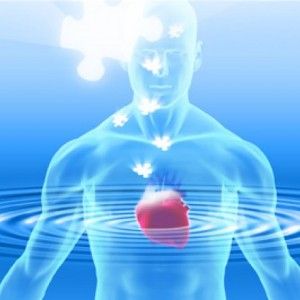 Heart Consciousness and the Body: Transforming the Physical Body to Higher Frequencies of Matter : In5D Esoteric, Metaphysical, and Spiritual Database