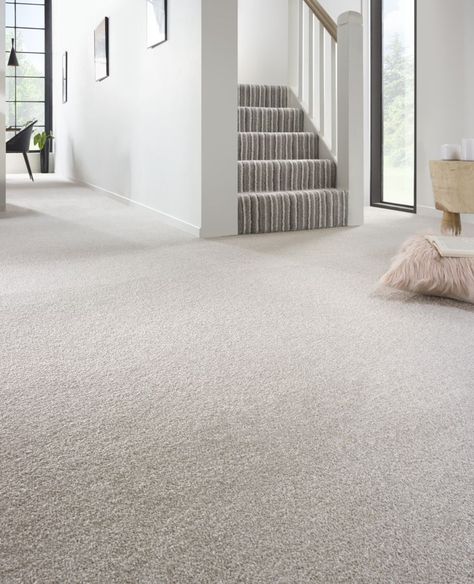 This luxurious Saxony carpet will effortlessly blend with most home interiors. Manufactured using a tough two ply yarn, this saxony carpet is easy to maintain and is designed to handle the everyday wear in busy areas of the home. Plush Saxony Urban Stripes Carpet from: £10.75m2 Carpet Store, Striped Carpets, Carpet Remnants, Carpet Stores, Carpet Underlay, Wood Laminate Flooring, Carpet Shops, Saxony, Best Carpet