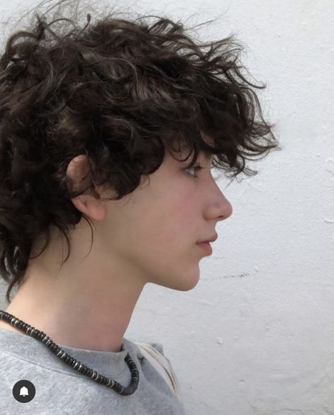 Ftm Haircuts, Messy Hair Boy, Brown Hair Boy, Men Haircut Curly Hair, Brown Curly Hair, Hair Inspiration Short, Boys With Curly Hair, Fluffy Hair, Curly Hair Men