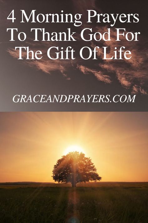 Want to give thanks to God for the gift of life? Need a morning prayer to start your day? We'll share 4 prayers to thank God for life in the morning. Morning Prayers To Start Your Day With Gratitude, Grateful Prayer Thank You God, Thank You Lord For Everything Gratitude, Daily Prayers Mornings Short, Morning Gratitude Prayers, Prayers For Thanking God, Thank You Prayer To God, A Prayer For You, Morning Prayers To Start Your Day Women