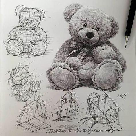 pencil sketches drawing studies Teddy Bear Sketch, Teddy Bear Drawing, Bear Sketch, Structural Drawing, Perspective Drawing Lessons, Drawing Styles, Bear Drawing, Object Drawing, Drawing Studies