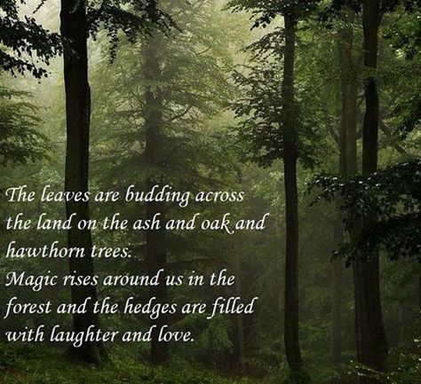 Beltane Blessings Images, Beltane Quotes, Beltane Blessings, Mystical Nature, Spells Magic, Pagan Magic, Hawthorn Tree, Setting Intentions, May Days