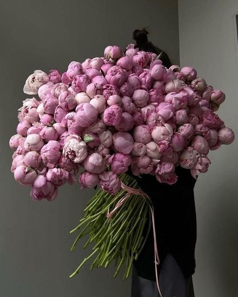 Peonies Bouquet, Flower Therapy, Beautiful Bouquet Of Flowers, Beautiful Flower Arrangements, Peony Flower, Flower Centerpieces, Flower Beauty, Beautiful Bouquet, Flowers Nature