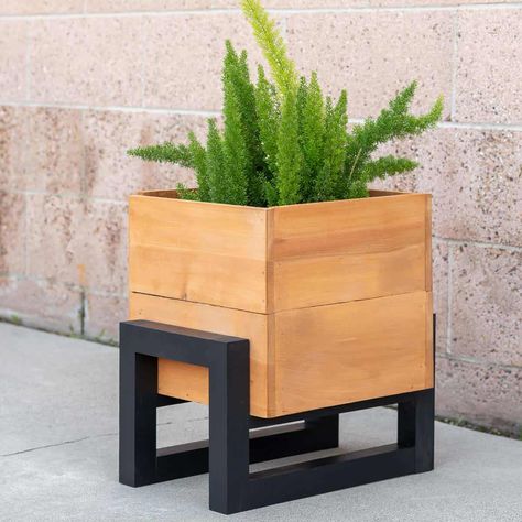 How To Build A DIY Modern Planter Box - Anika's DIY Life Modern Wooden Planters, Unique Wood Planters, Wood Planter Boxes Diy, Plant Stands Diy, Diy Modern Planter, Planter Boxes Diy, Diy Wooden Planters, Diy Wood Planters, Easy Small Wood Projects